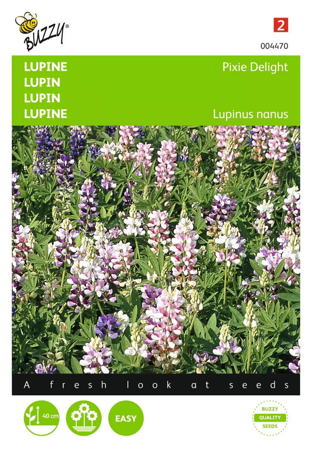 BUZZY Lupinus Nanus Pixie Delig Mix2 G GroenRijk Beneden Leeuwen