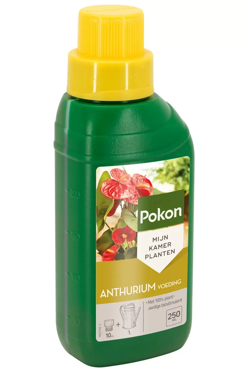 POKON Anthurium Voeding 250ml GroenRijk Beneden Leeuwen Een Mooi