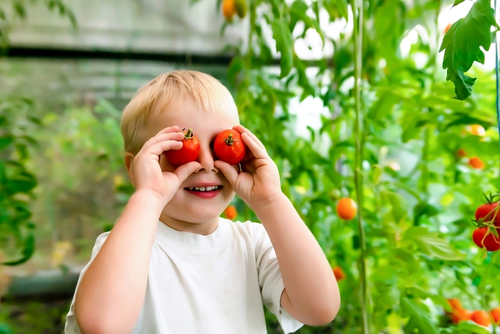 Samen zaaien, samen oogsten: tips voor een makkelijke moestuin met kinderen