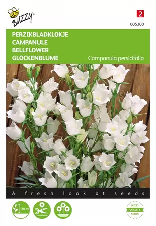 Buzzy® Campanula, Perzikbladklokje wit